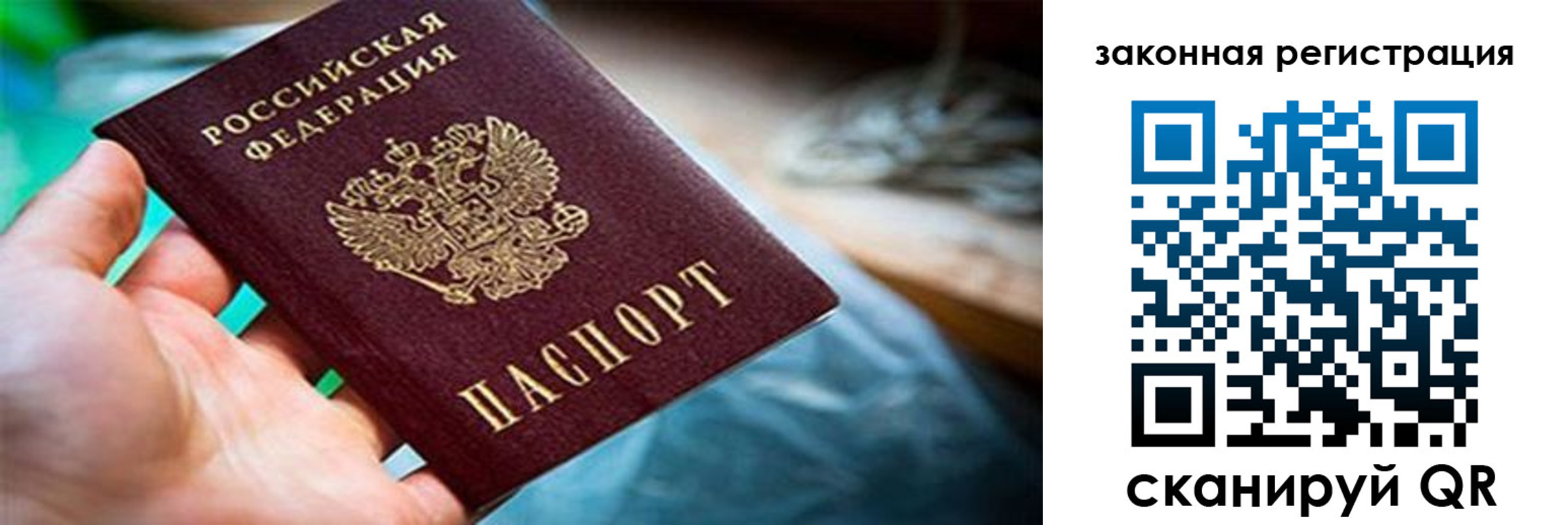 прописка для школы в Зеленогорске